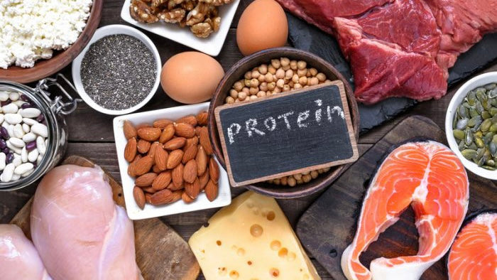 PROTEIN IS PARAMOUNT