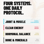 four systems and a daily protocol